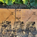 New design Corten Steel Edging