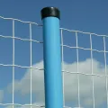 Γαλβανοποιημένο &amp; PVC επικαλυμμένο σύρμα συρματόπλεγμα