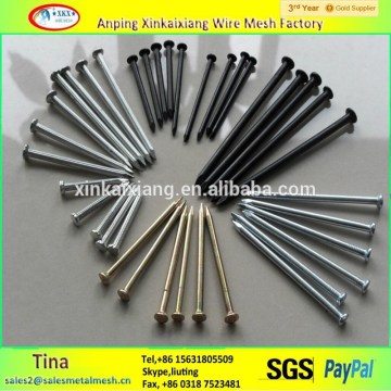 Price of iron nails,construction common nails,common nails for sale