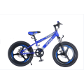 TW-37-1 High Quality Bicycle Students Mountain Bike