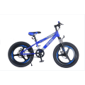 TW-37-1High Quality Bicycle Students Mountain Bike