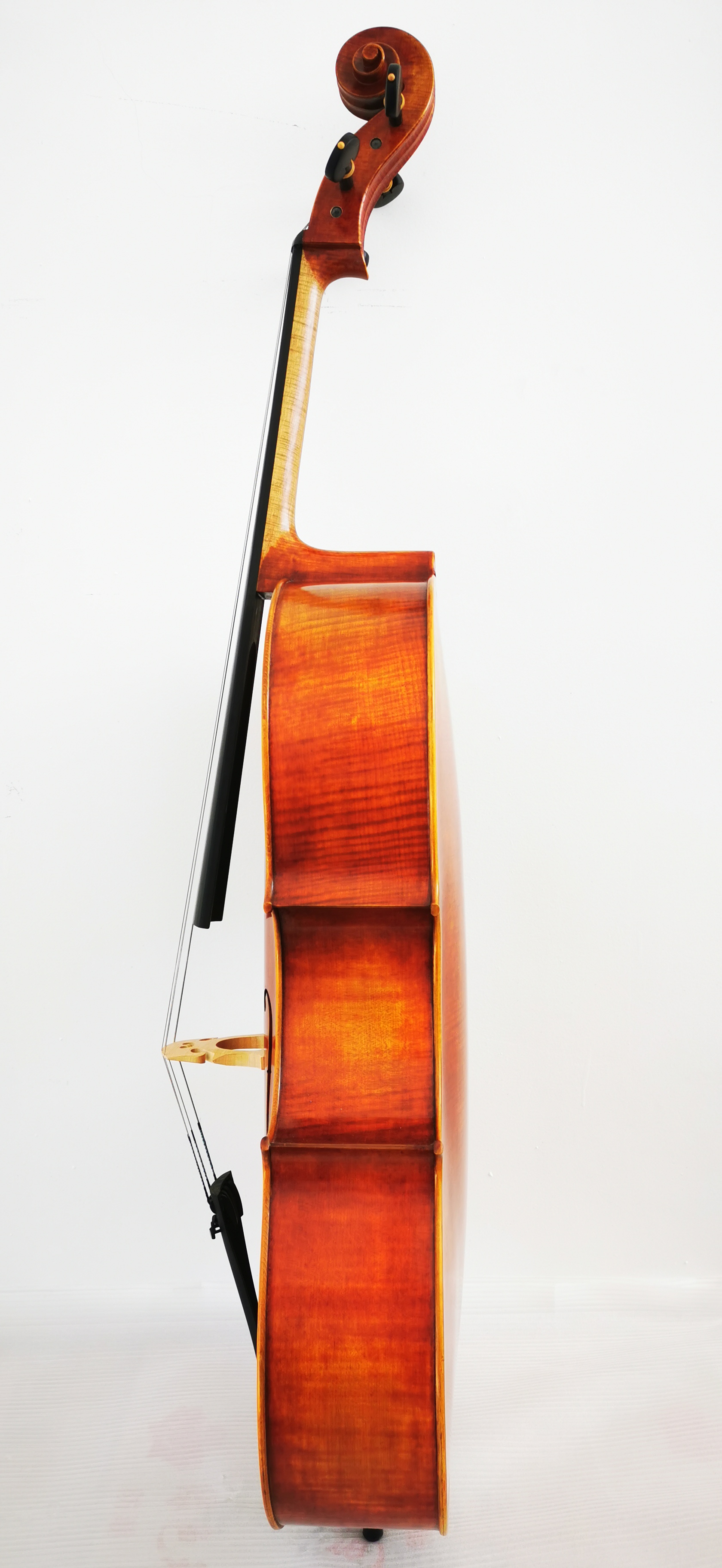 Cello-JM-COA-13-3