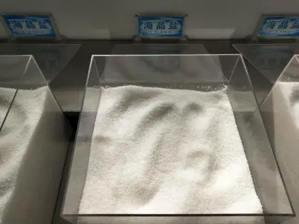 Iodized Edible Sea Salt