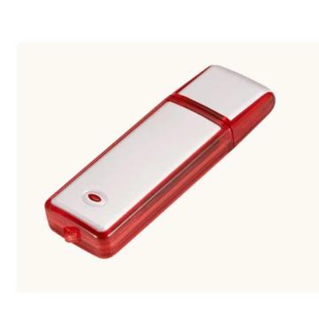 Euro classic plastic USB flash disk