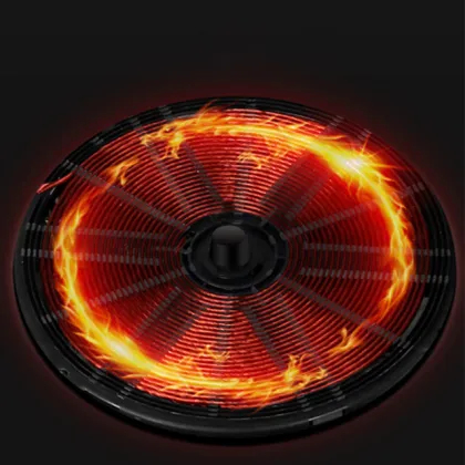 2 Burner Induction Stove Supplier: OEM/ODM Home Kitchen Induction Cooker