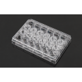 PC Memberane Cell Culture Inserts for 24-well plates