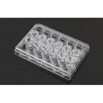 PC Memberane Cell Culture Inserts for 24-well plates