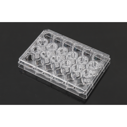 PC Memberane Cell Culture Inserts untuk plat 24-baik