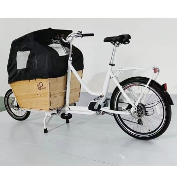 EU-goedgekeurd aluminium frame kinderwagenfiets met 3 wielen, doos, 250 W Central Motor Electric Ebike (e-cargo) voor gezinsgebruik