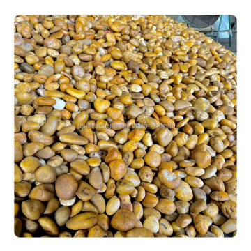 Wholesale Polished Cobblestones for Outdoor Garden and Landscaping