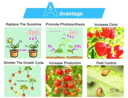 Led Plant Grow Lighting Grow