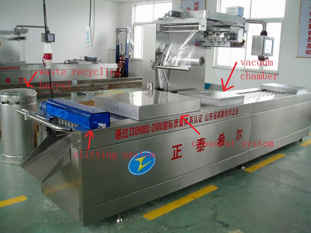 Organized Continuous Stretch Film Packing Machine