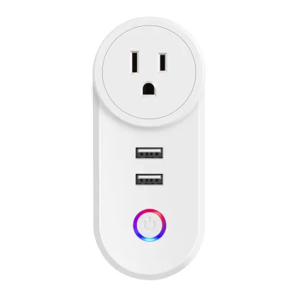Wireless Echo 240V Wall Power Zigbee USB Home US Smart Outlet Wifi Socket Plug TUYA