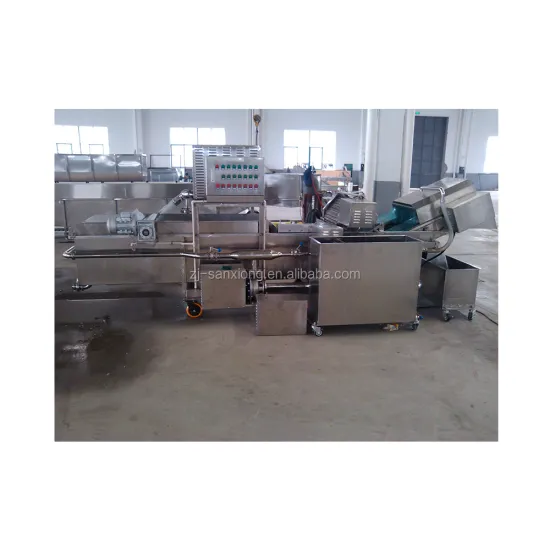 SUS304 Bubble Washing Machine for Vegetables and Fruits - Price