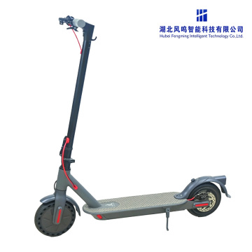 8,5 inç Katı Lastikli Şehir Elektrikli Scooter