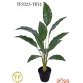67cm White Palm leaf x 12 with plastic Pot