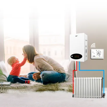 Low Price Electric Induction Boiler: Baxi CAFOS for Heating and Domestic Hot Water