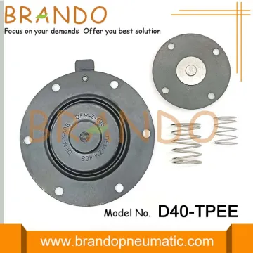 TPE Diaphragm Repair Kit For BFEC DMF-Z-40S Repair Kit