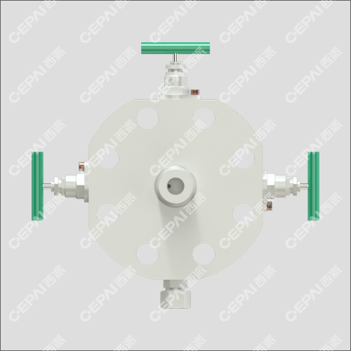 DBB MONOFLANGE Needle Valve