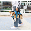 /msite/products/detail/productid/62429754/id/1497022.html