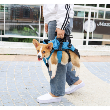 Pet dog harness coat carrier 2022