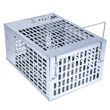Cage for Mouse Mice Rat Trap