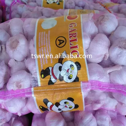 2020 New Season China Fresh Garlic