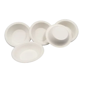 Compostable Bagasse Eco-friendly Ramen 16oz Bowl