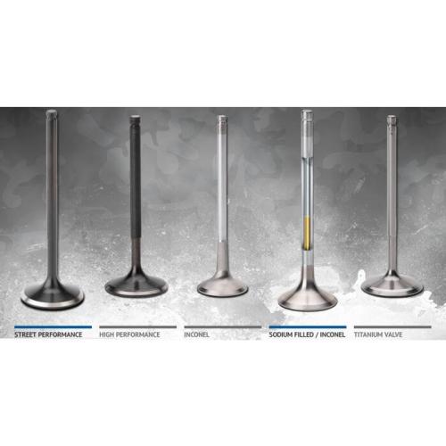 HINO F17D Car Engine Valve