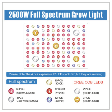 2500 vatios COB Led Grow Light Full Spectrum