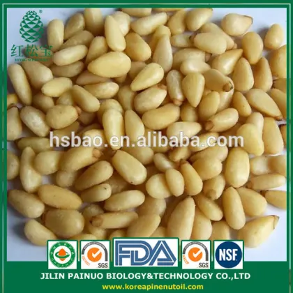 100% Wild Harvest Organic Precious Korean Pine Nut Kernels