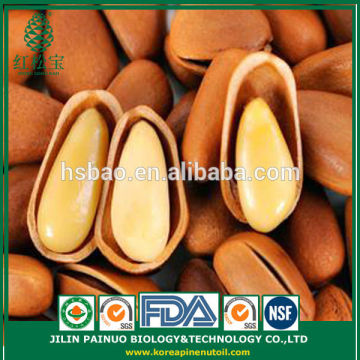 Bulk Hot Sale New Crop Dried Fruits Open Pine Nuts in Shell