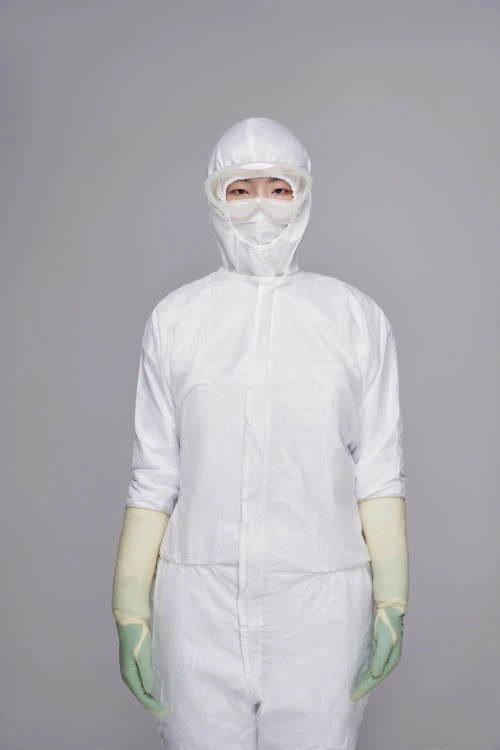 Cleanroom Facemasks