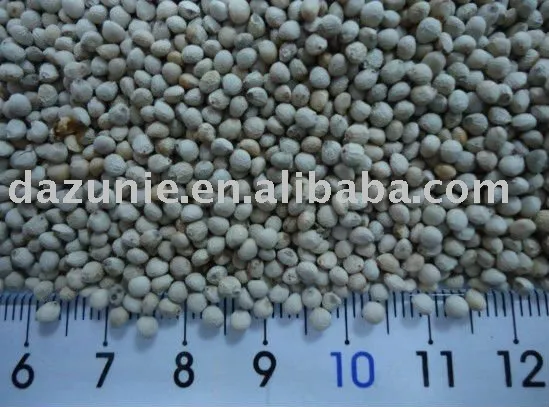 White Perilla Seeds