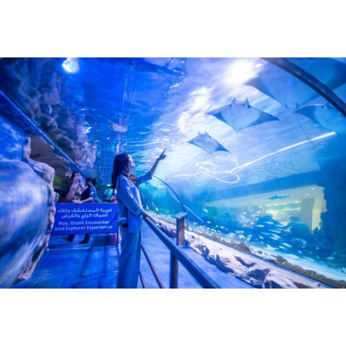 Stor undervattensvärldsrestaurang akryl akvariumtunnel