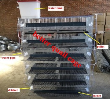 BT Factory hot-sale high quality quail cages for sale in poultry farm
