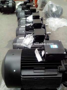 Y2 series three phase motor manufacture