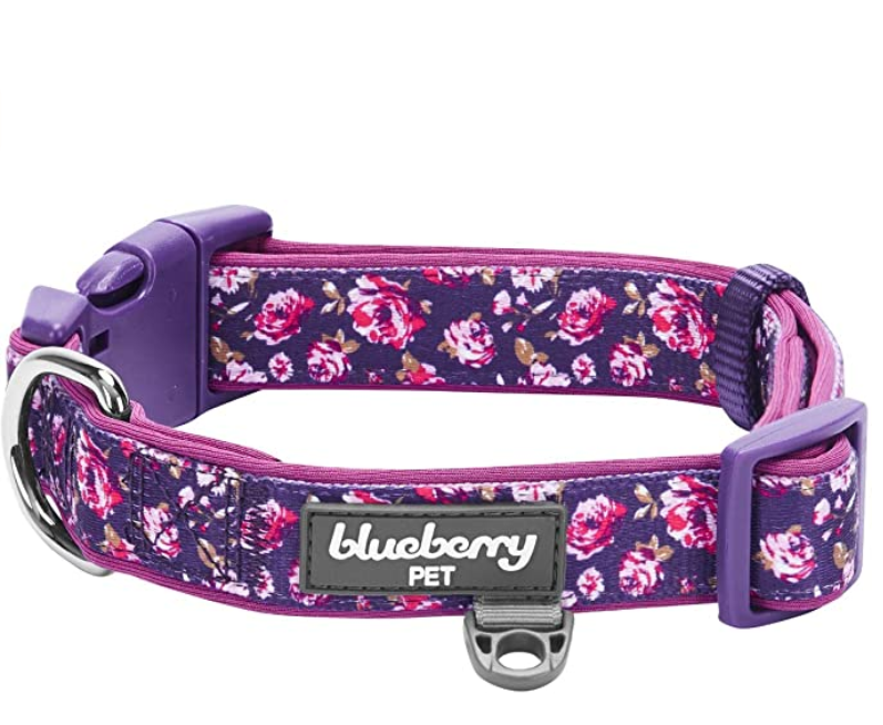 Padded Dog Collars