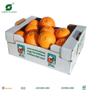 ORANGE BOX/ FRUIT BOX FP70835