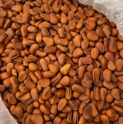 Delicious Pine Nut Gift Box