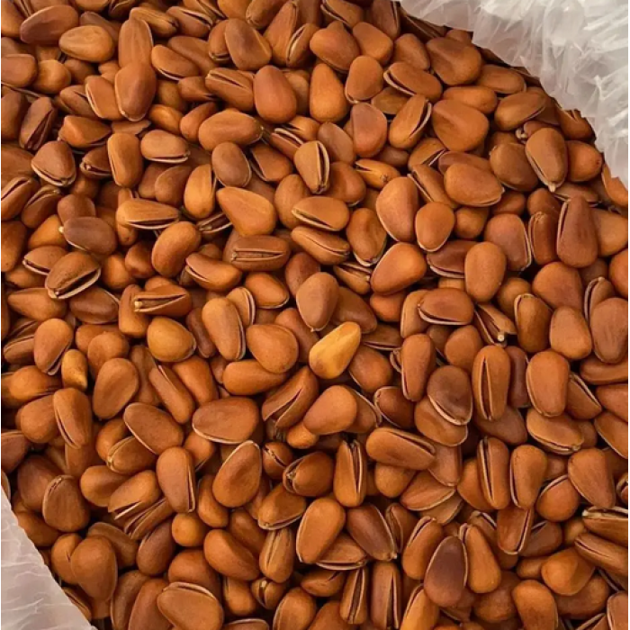 Deliciosa caixa de presente de pinhão