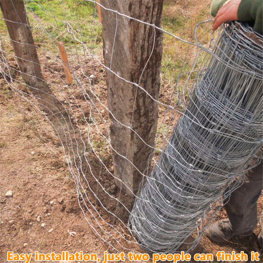 Hot Sale High Quality  Ganvanized Field Fence