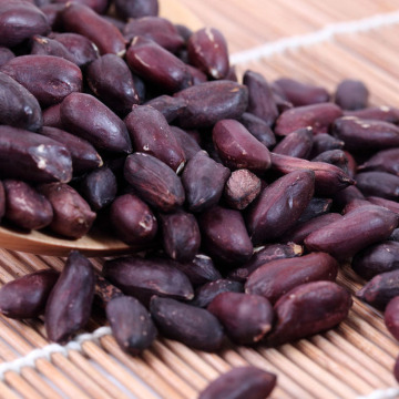 Organic Nut Seeds Raw Black Color Skin Black Peanut