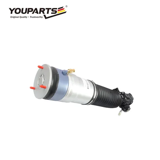 youParts BMW 7 Series F02 Rear Air Suspension Right Shock Absorber - OEM NO.37126796930