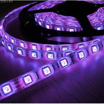 DC12/24V 72LEDs/M RGB SMD5050 led strip lighting