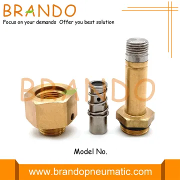 Autel Type Pulse Valve Repair Kit Armature Assembly