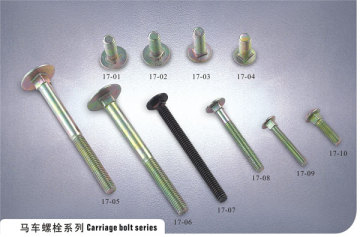 Carriage bolt series