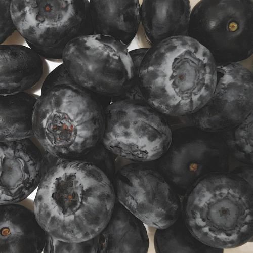 China High Quality Freeze Dried Blueberry Factory