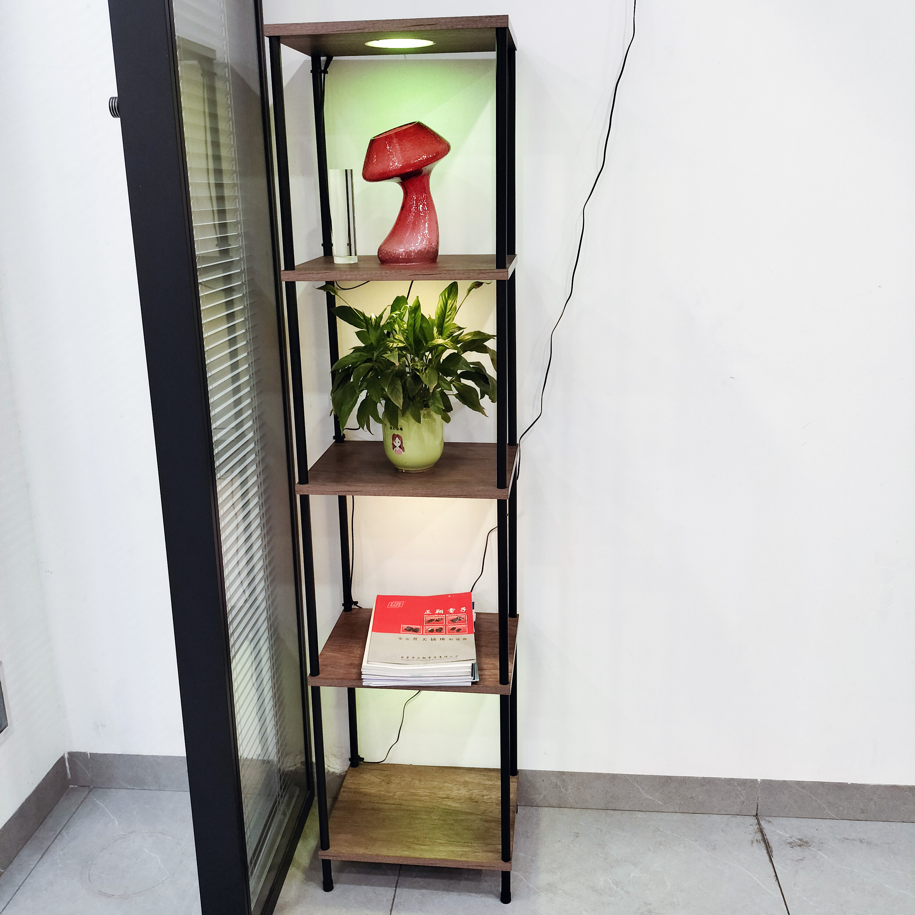 F240724 Shelf floor lamp RGBW LED (8)