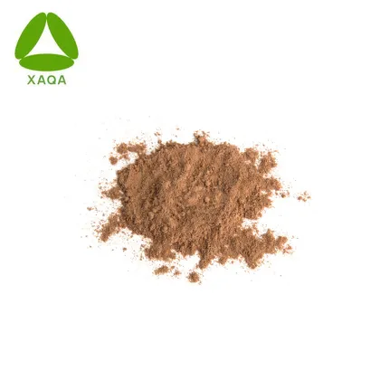 Top Quality Kombucha Tea Extract Powder 10:1